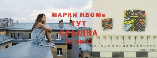 хмурый Верхний Тагил