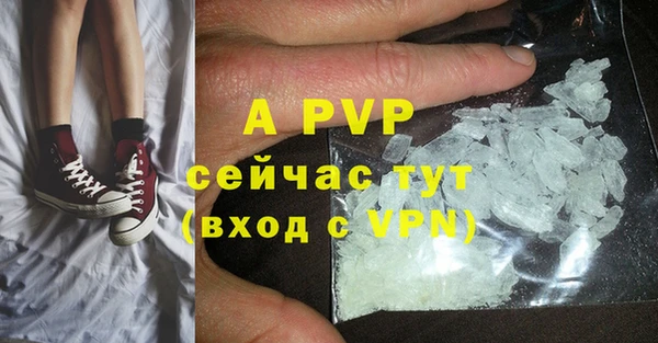 МДПВ Новозыбков