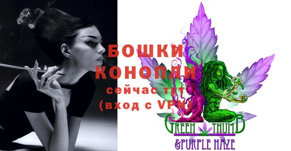 спиды Верея