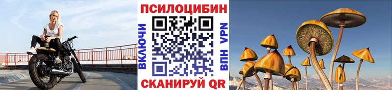 Галлюциногенные грибы Cubensis  Купить  Кремёнки 